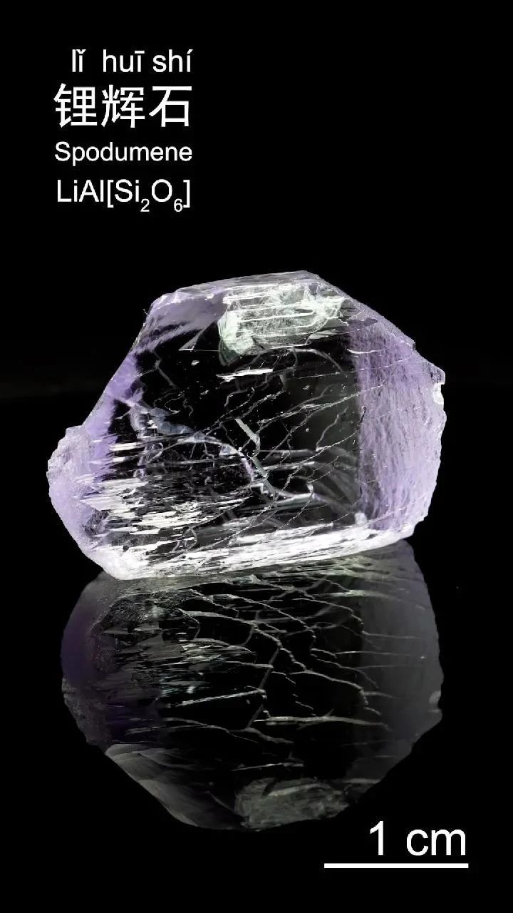 微信图片_20240118212551.jpg